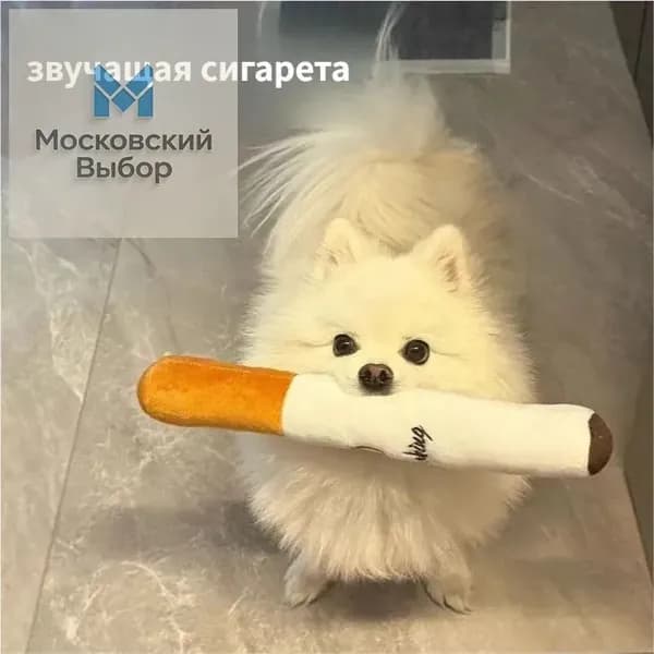 Большая говорящая плюшевая игрушка-сигарета, игрушка для собак