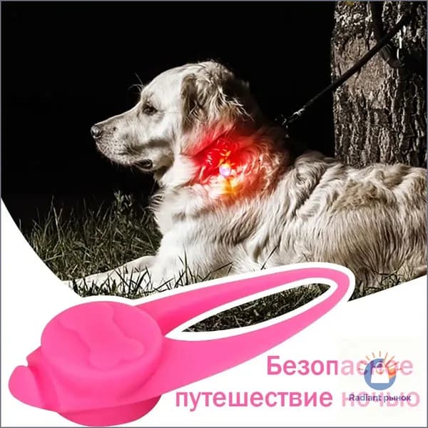1шт ночная безопасная подвеска для домашних животных, светящаяся в темноте ночи с защитой от потери зоотоваров