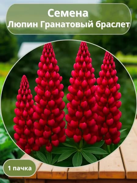Люпин Гранатовый браслет, семена 10 шт