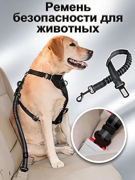 Ремень безопасности для собак
