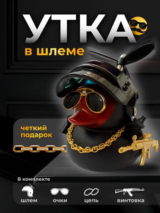 Утка в машину в шлеме и очках