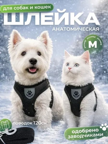 Шлейка для собак мелких пород, для кошек, с поводком