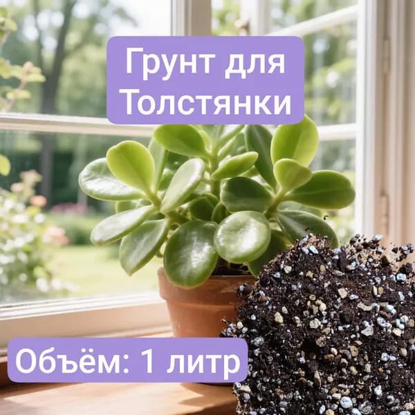 Авторский грунт для Толстянки 1 литр
