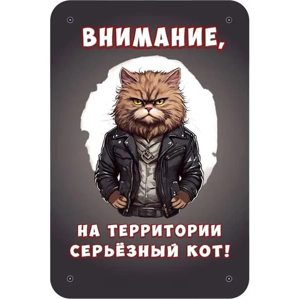 Декоративная табличка "Внимание, на территории серьёзная собака!" (Осторожно, злая собака) / размер 30х20см, Кот персидский