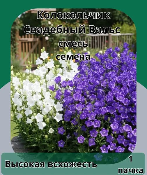 Колокольчик свадебный вальс,семена 10шт
