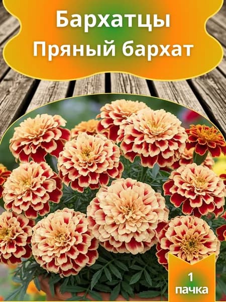 Бархатцы Пряный бархат , семена 10 шт.