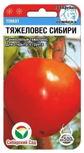 Томат ТЯЖЕЛОВЕС СИБИРИ