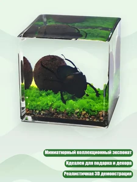 Уникальный миниатюрный блок с насекомыми для коллекционеров, 5CM - Навоз b33tle