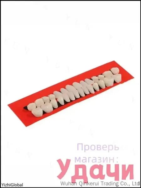 Модель искусственных зубов, 28 шт