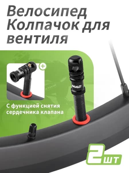 Велошина