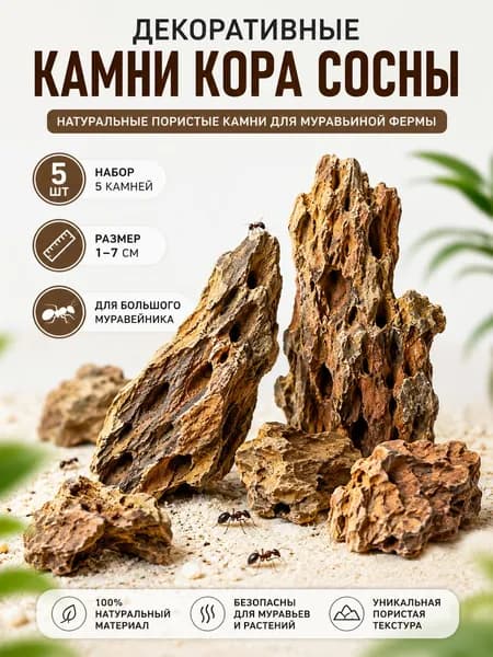 ExoNest Декор для муравьиной фермы и формикария 1-7 см, набор мини-аксессуаров, 5 шт.