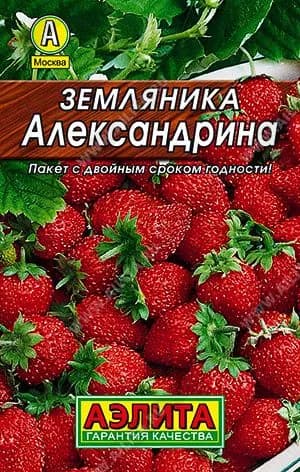 Семена Земляника Александрина , Агрофирма Аэлита