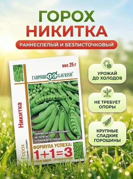 Семена Горох овощной Никитка, большой пакет 25грамм . Безлисточковый! Плордоносит до заморозков!