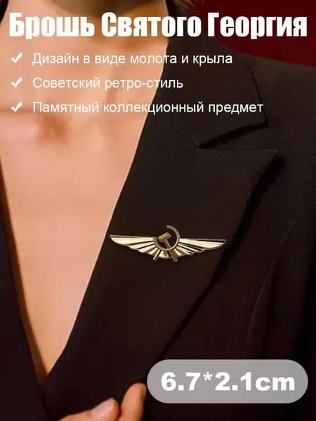 Значок ВВС СССР, крылья с орлом, памятный значок-брошь