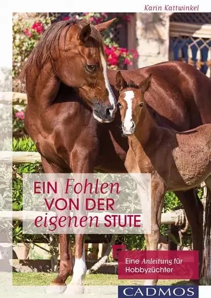 Ein Fohlen von der eigenen Stute | Kattwinkel Karin | Электронная книга