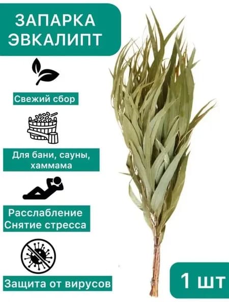 Запарка для бани, 1 мл