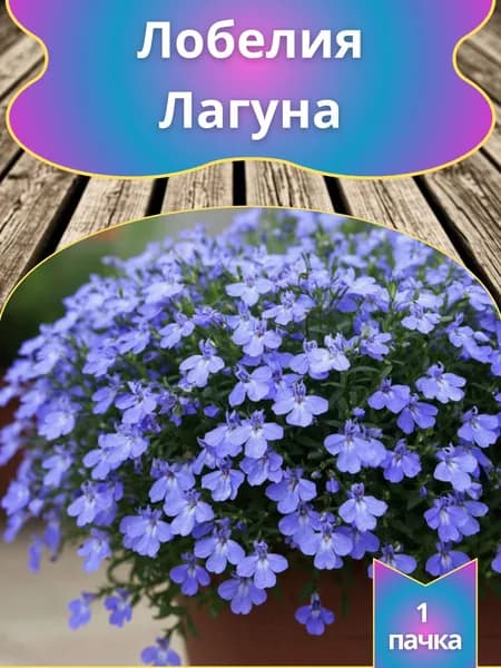 Лобелия "Лагуна"(семена)