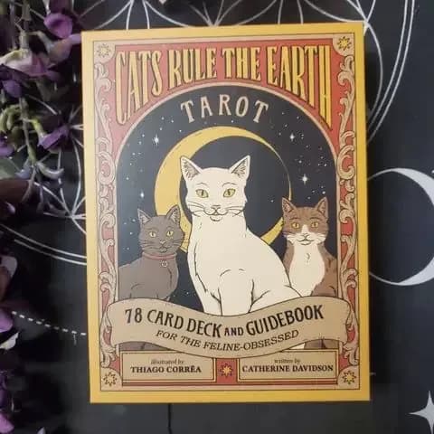 Таро Кошки правят миром