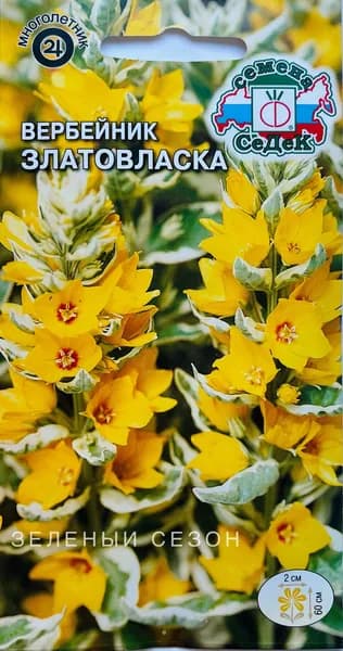 Вербейник Златовласка, 1 уп /0,1г, семена Седек
