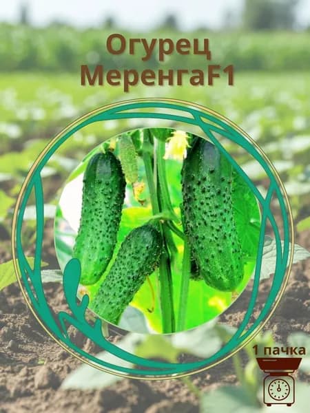 Огурец "МЕРЕНГА" F1 10шт. семян