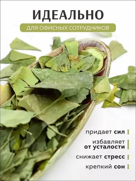 Листья Гинкго Билоба Китайский Чай Из Дикого Гинкго Лекарственный Травяной Чай