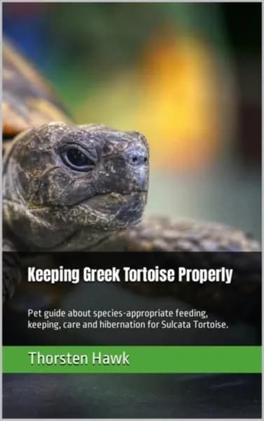 Keeping Greek Tortoise Properly | Hawk Thorsten | Электронная книга