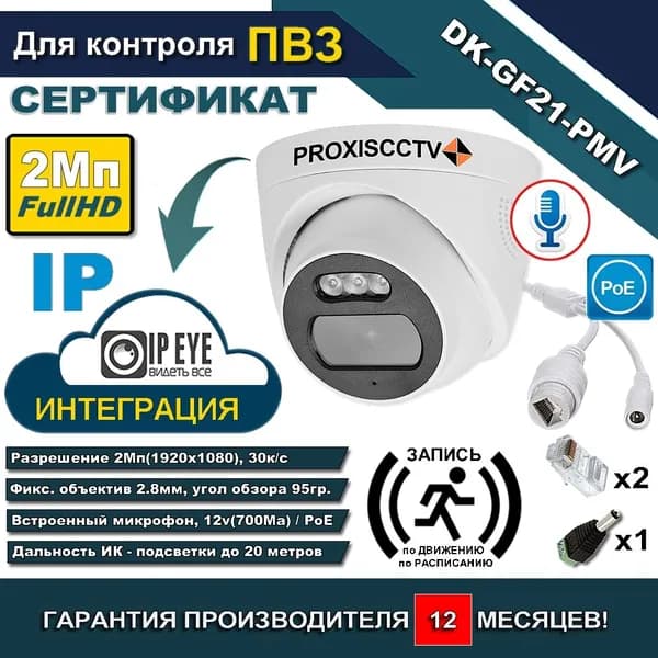 Купольная IP камера DKGF21PMV c микрофоном, ipeye пвз
