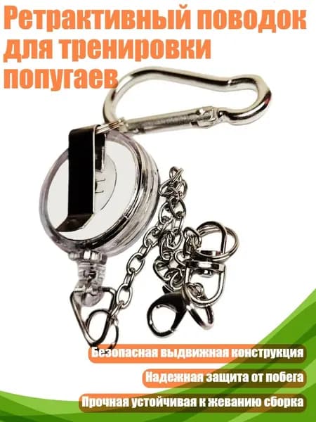 Ретрактивный поводок для тренировки попугаев