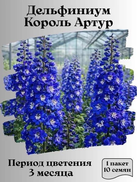 Дельфиниум Король Артур, семена, 10 шт.