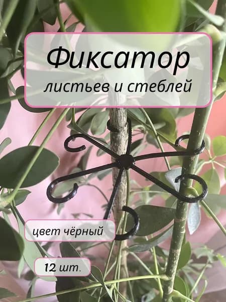 Фиксатор опора для сбора стеблей растений
