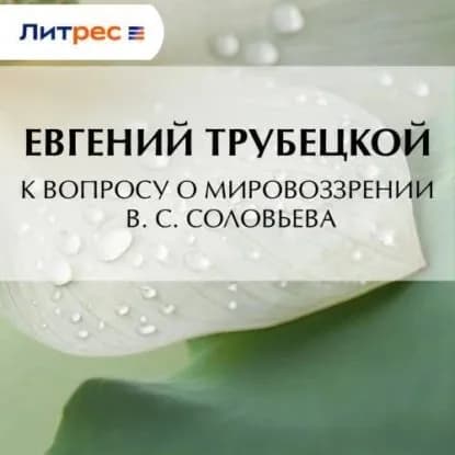 К вопросу о мировоззрении В. С. Соловьева | Трубецкой Евгений Николаевич | Электронная аудиокнига