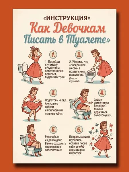 Постер инструкция прикол "Как девочкам писать в туалете"