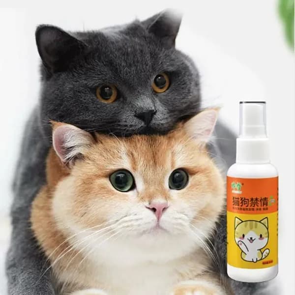 Корректор поведения домашних животных
