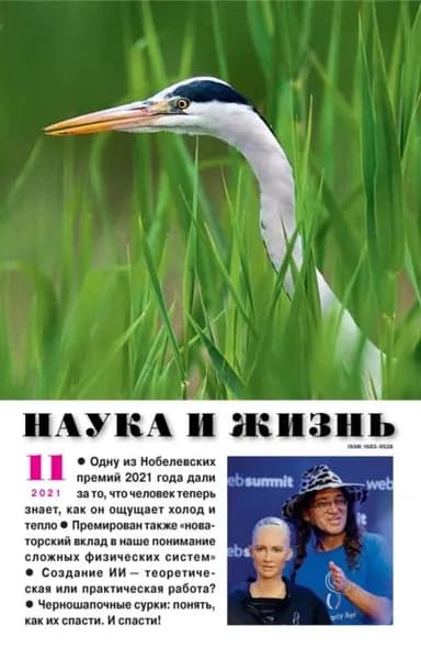 Наука и жизнь No11/2021 | Электронная книга