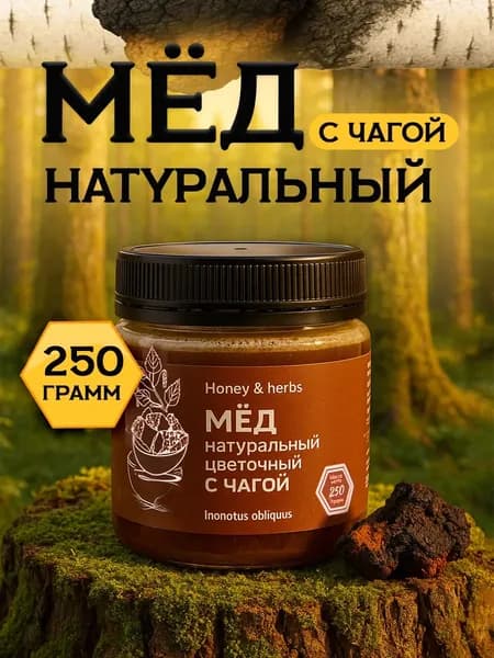 Легенда Алтая Мёд натуральный алтайский с чагой, 250 г