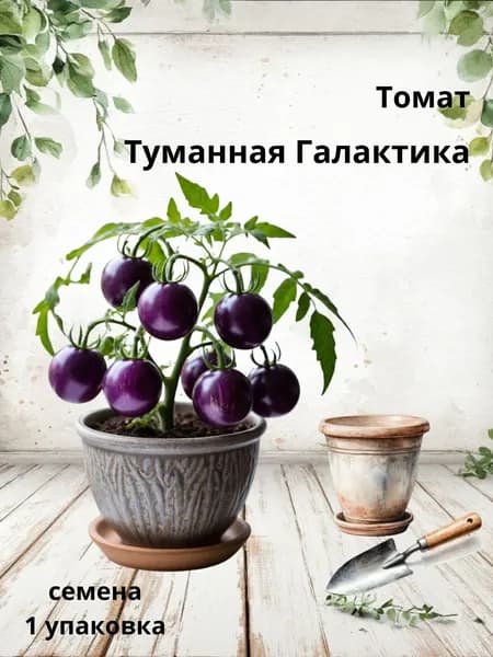 Томат Туманная Галактика, семена, 10 шт