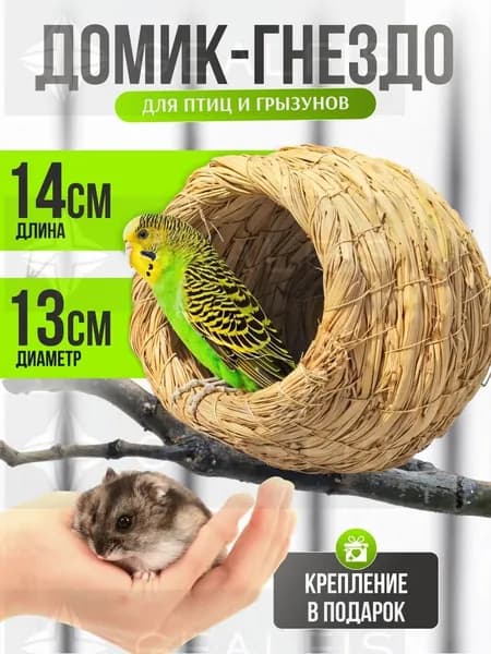 соломенное птичье гнездо