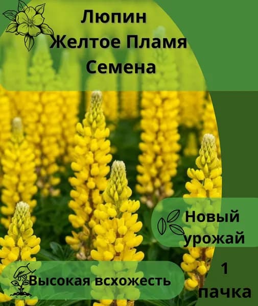 Люпин Желтое Пламя, семена 10шт