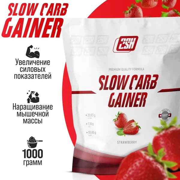 Гейнер на основе медленных углеводов 2SN Slow Carb Gainer 1000 г (Клубника)