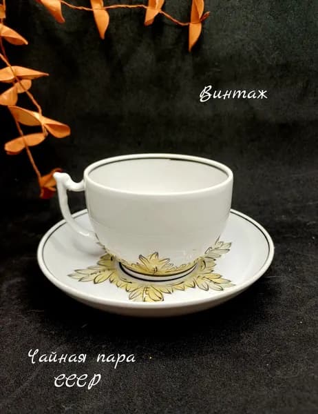 Чайная пара Барбарис винтажная, фарфор, Вербилки СССР