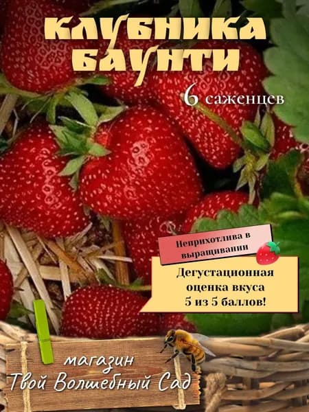 Клубника Баунти (6 шт)