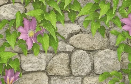 Обои бумажные, моющиеся, полуметровые, 0,53*10м, Клематис 11