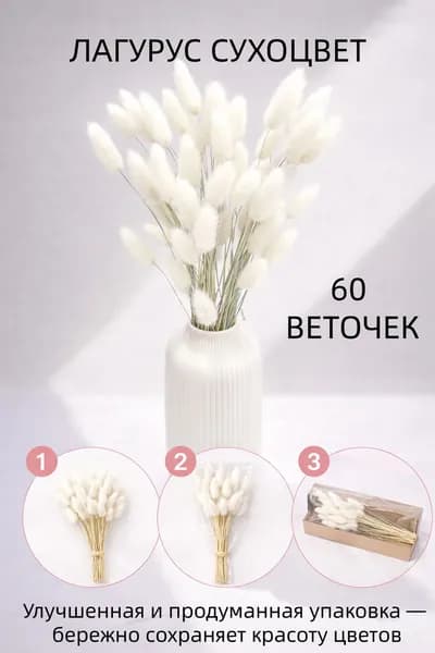 Сухоцветы Лагурус, 55 см, 100 гр, 60 шт