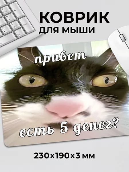Коврик для мышки прикол мем смешной Котик "Есть 5 денег?"
