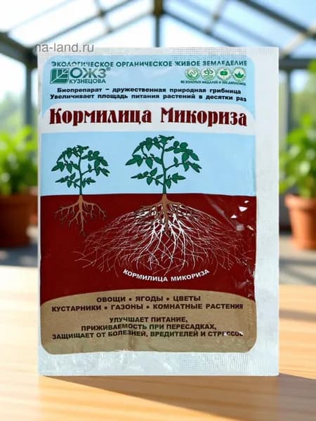 Удобрение БашИнком Кормилица Микориза для корней 30 грамм.