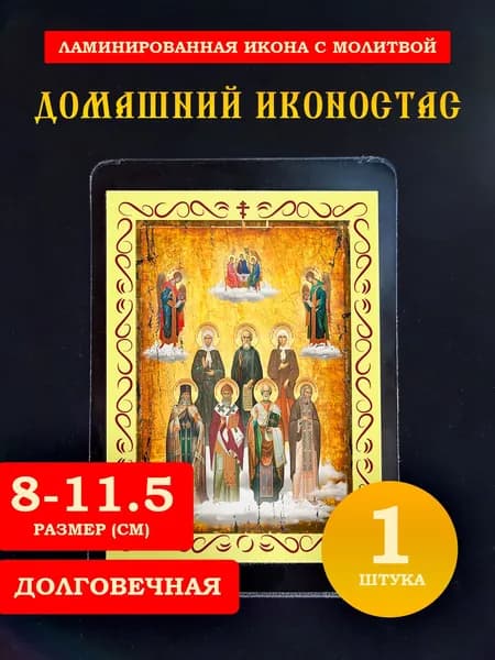Икона Домашний иконостас с молитвой, 8*11 см