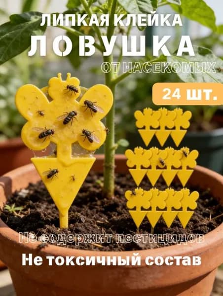 Инструмент для дезинсекции