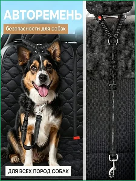 Качественный автомобильный ремень безопасности для животных, эксклюзивный Best Buy