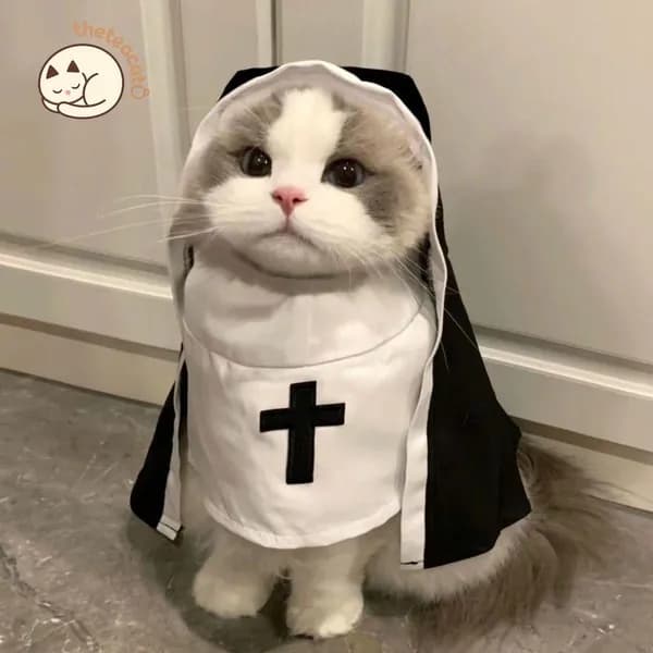Костюм на Хэллоуин