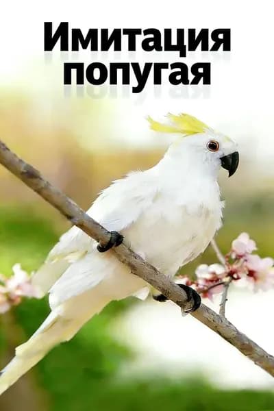 Фигурка садовая